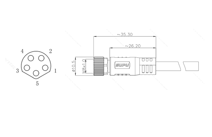 Đầu Nối Đúc Sẵn M8 SUPU Dạng Thẳng, 5 Chân, Đầu Cái, Dây PVC 1m - Ảnh 2