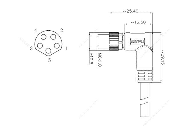 Đầu Nối Tròn M8 SUPU Đúc Sẵn M8B05Z-FMSRA-UC001B (Đầu Cái Góc, 5 Chân, Dây PVC 1m, Không Che Chắn) - Ảnh 2